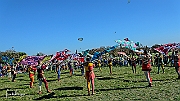 Y-5236
