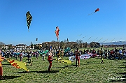 Y-5244
