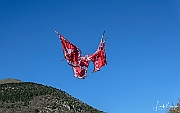 Y-5248