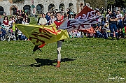 Y-5255