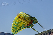 Y-5283