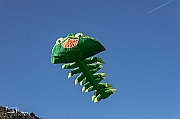 Y-5284