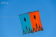 Y-5290