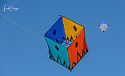 Y-5293