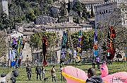 _DSC4900