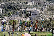 _DSC4901