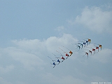 2005_0522_150804AA