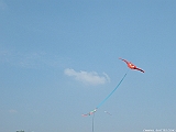 2005_0522_153745AA