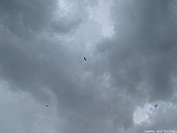 2004_0821_145315AA
