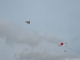 DSCF0005