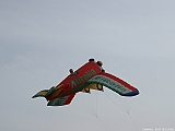 DSCF4024