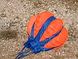 DSCF9916