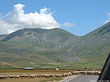 DSCF0013