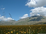 DSCF0018