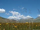 DSCF0019