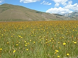 DSCF0020