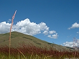 DSCF0022