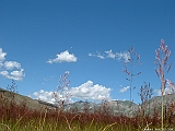 DSCF0023