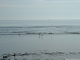 2005_0429_073303AA