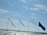 2005_0430_084541AA
