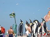 2005_0501_131154AA