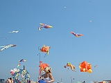 2005_0501_131206AA
