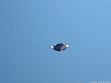 2005_0501_131343AA