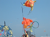 2005_0501_131753AA
