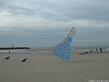 2004_0917_161010AA