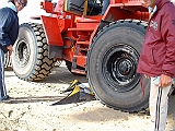 2004_0919_110209AA