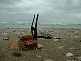 2005_0328_093105AA