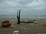 2005_0328_093110AA