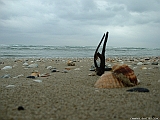 2005_0328_093114AA