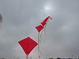 DSCF0030