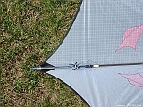 DSCF0068