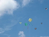 DSCF0087