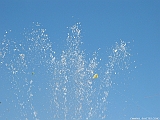 DSCF0107