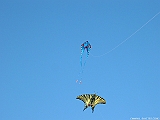 2005_0130_103348AA