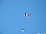 2005_0130_103357AA