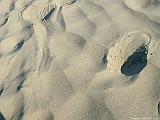 2005_0130_110607AA