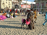 2005_0130_152013AA