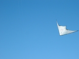 2005_0507_075017AA