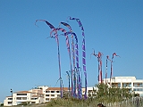 2005_0507_083004AA