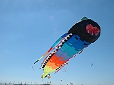 2005_0507_102342AA