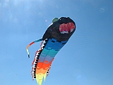 2005_0507_102348AA