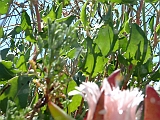 2005_0507_103046AA