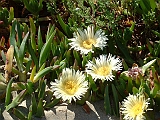 2005_0507_162653AA