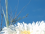 2005_0507_162711AA