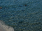 2005_0508_082828AA