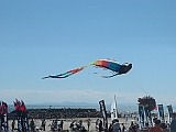 2005_0508_151128AA